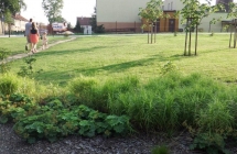 Projekt i aranżacja zieleni, Olsztynek