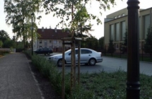 Projekt i aranżacja zieleni, Olsztynek