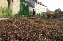 Projekt i aranżacja zieleni, Olsztynek