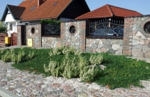 Projekt i aranżacja zieleni, Dywity