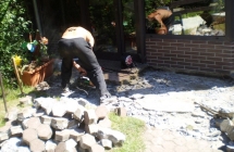 Projekt i aranżacja zieleni, Olsztyn