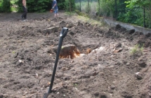 Projekt i aranżacja zieleni, okolice Olsztyna