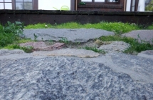 Projekt i aranżacja zieleni, okolice Olsztyna