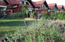 Projekt i aranżacja zieleni, Olsztyn