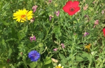 09