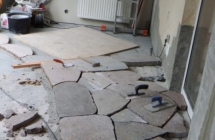 Projekt i aranżacja zieleni, ogród zimowy, Olsztyn