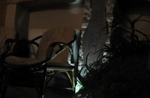 Projekt i aranżacja zieleni, ogród zimowy, Olsztyn