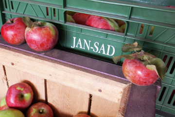 JANSAD - owoce